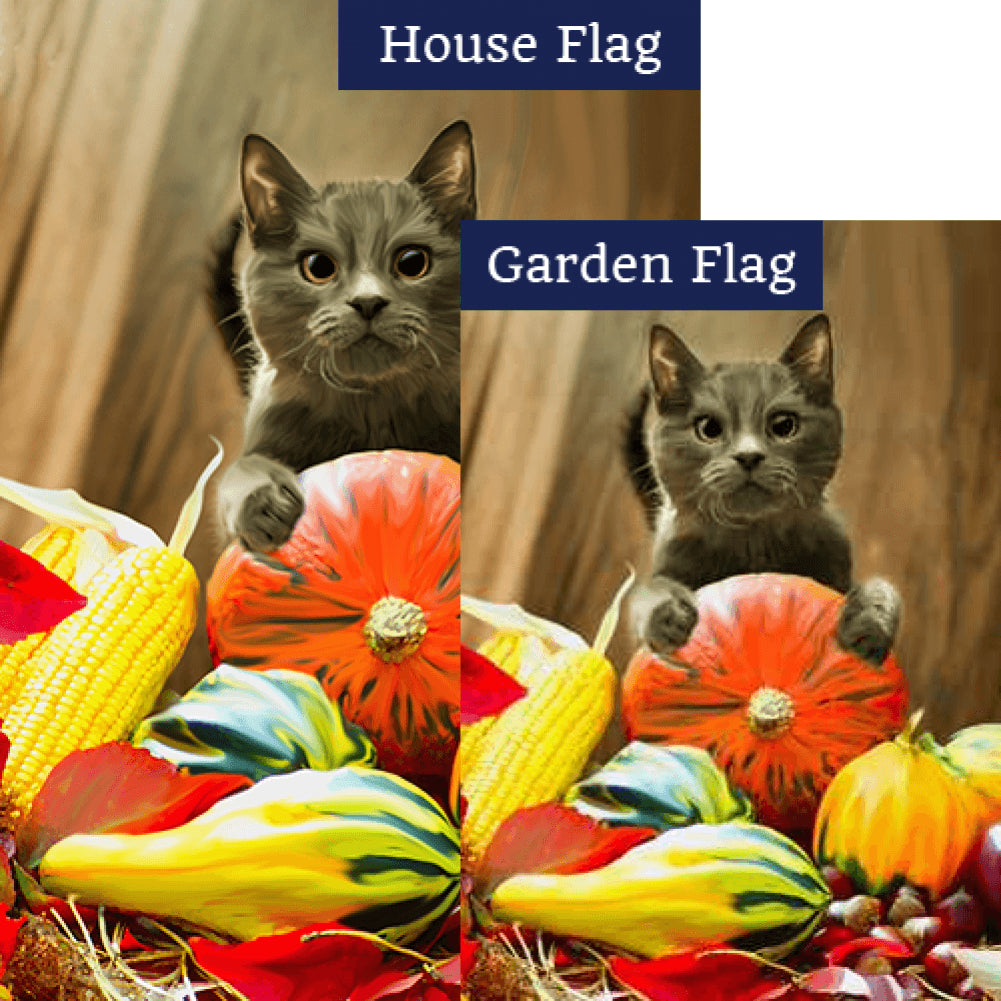 Cat With Pumpkin Flags Set (2 Pieces)