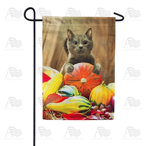 Cat With Pumpkin Double Sided Garden Flag