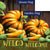 Pumpkin Welcome Double Sided Flags Set (2 Pieces)