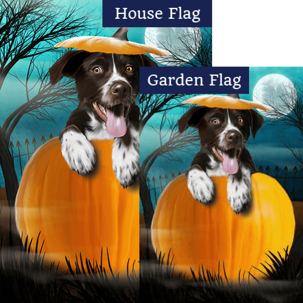 Pup In Pumpkin Double Sided Flags Set (2 Pieces)