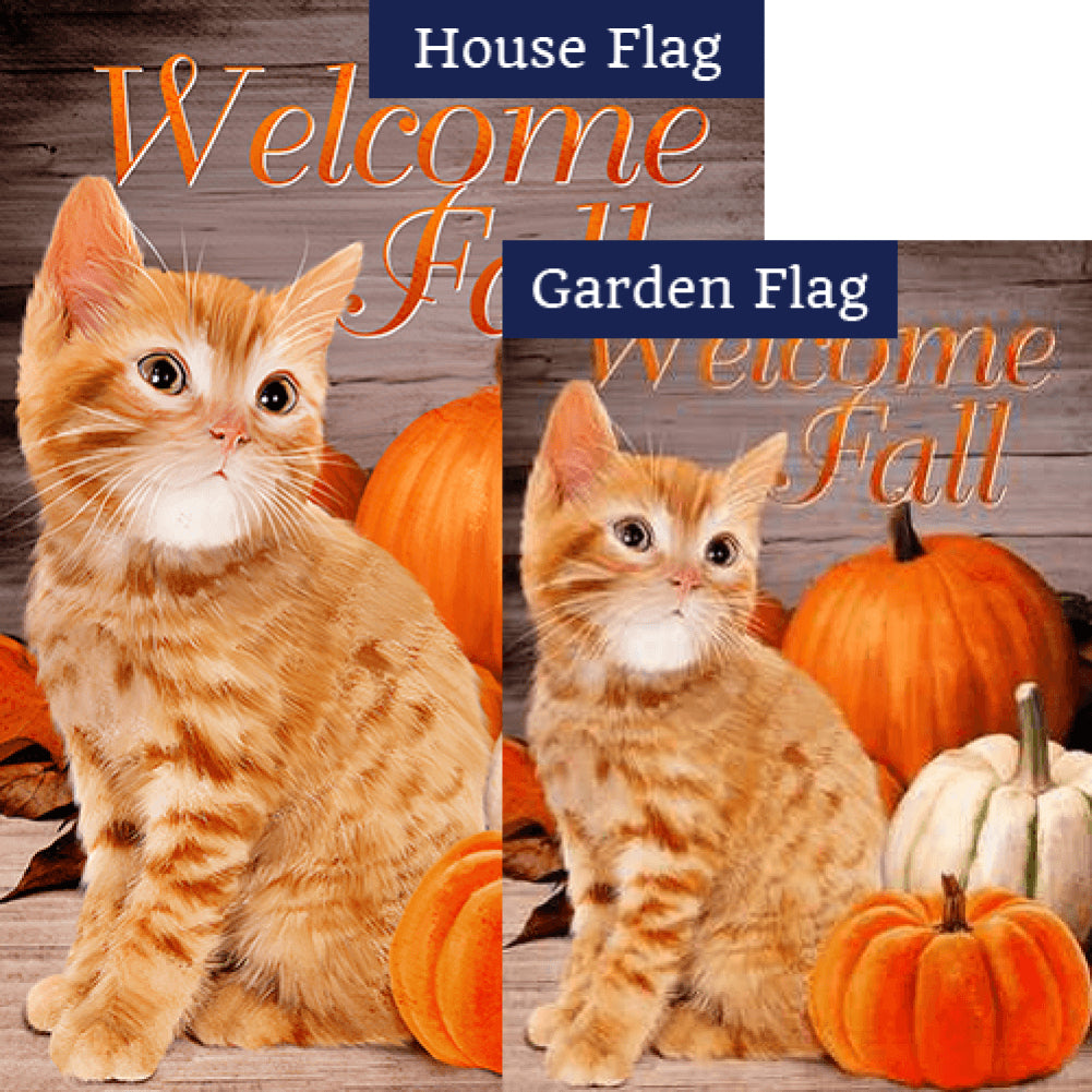 Fall Orange Tabby Double Sided Flags Set (2 Pieces)