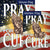 Let's Pray for a Cure Double Sided Flags Set (2 Pieces)