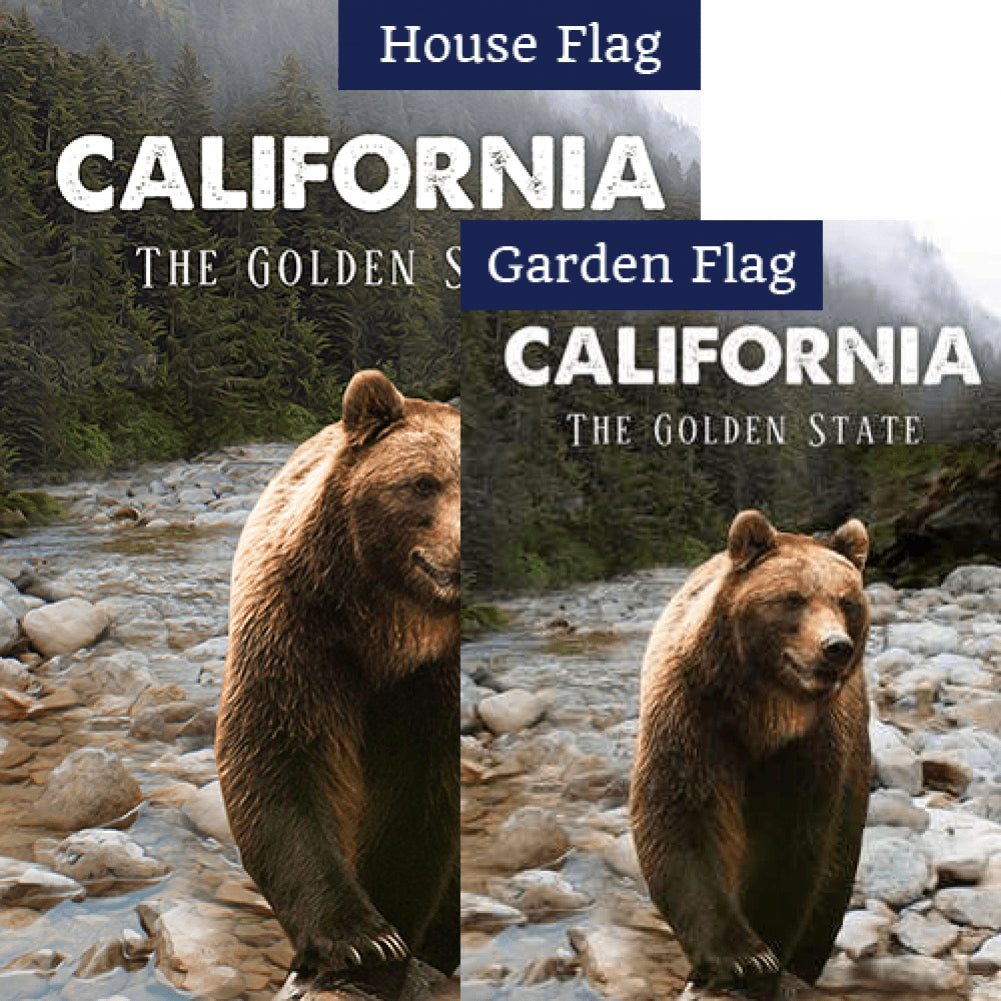 California Grizzly Bear Double Sided Flags Set (2 Pieces)