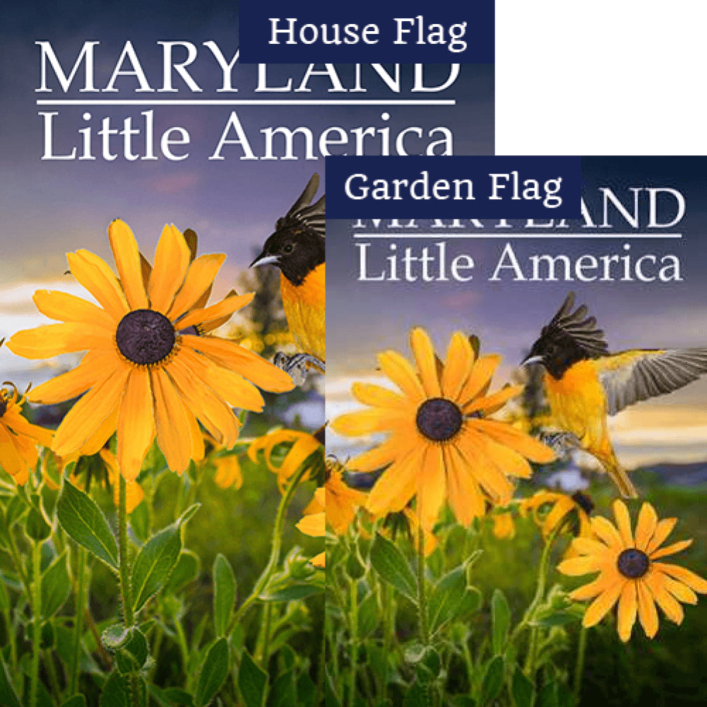 Little America Double Sided Flags Set (2 Pieces)