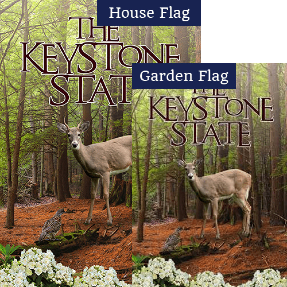 Pennsylvania Forest Double Sided Flags Set (2 Pieces)