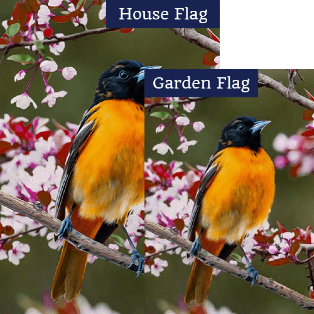 Baltimore Oriole Double Sided Flags Set (2 Pieces)