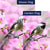 Chickadee In Apple Tree Blossoms Double Sided Flags Set (2 Pieces)