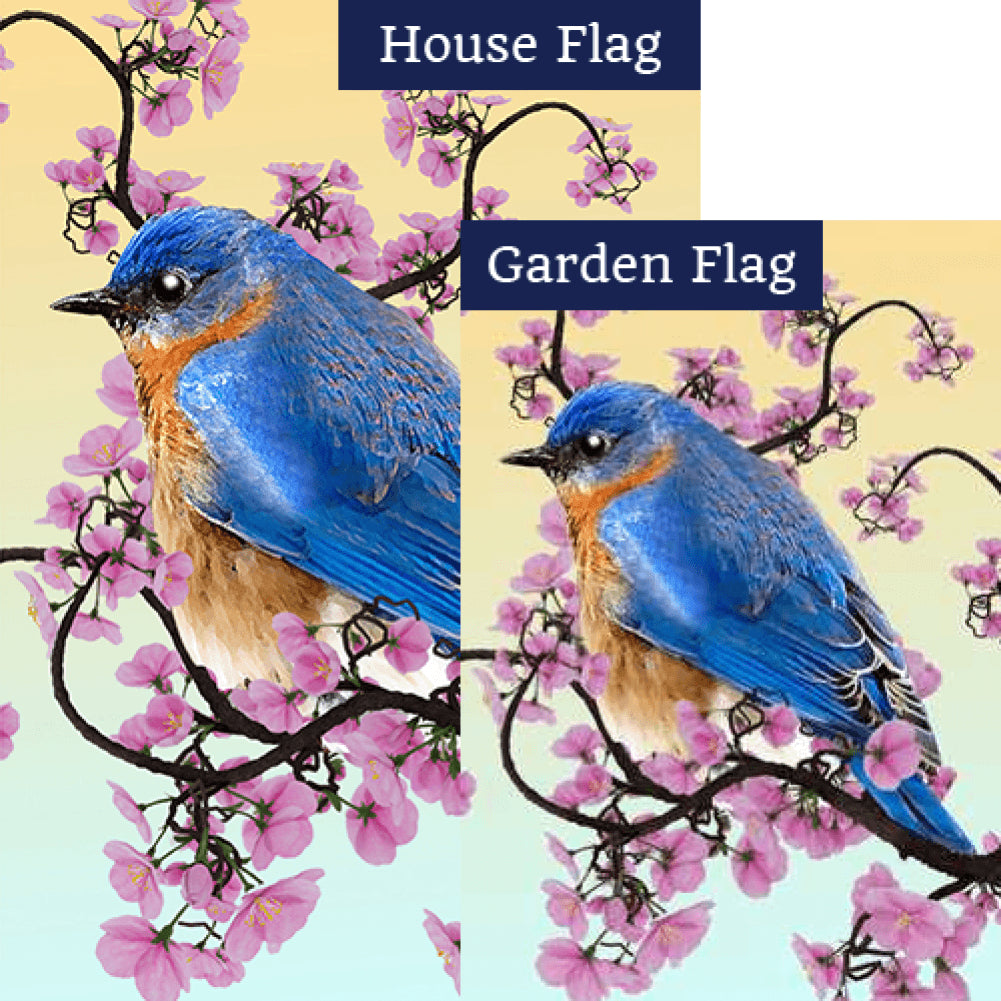 Little Boy Blue Double Sided Flags Set (2 Pieces)