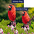 Cardinal In Sunshine Double Sided Flags Set (2 Pieces)