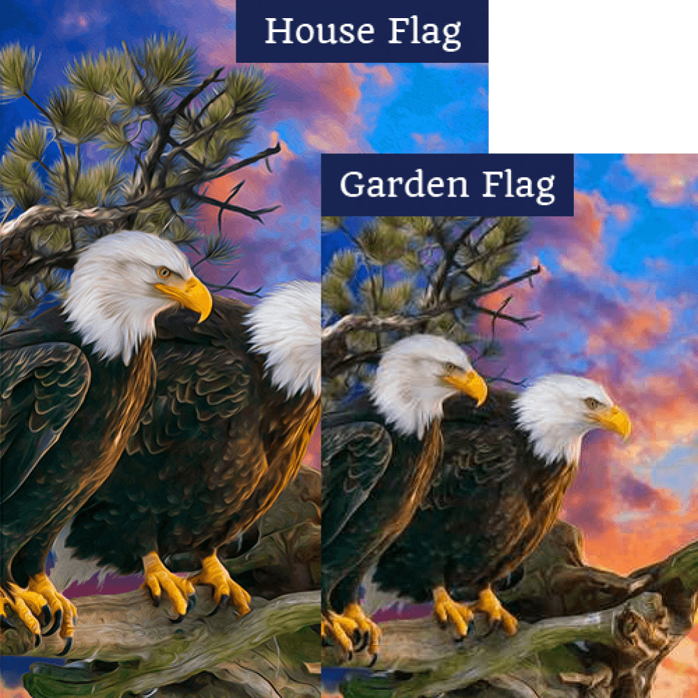 Eagles Eye View Double Sided Flags Set (2 Pieces)