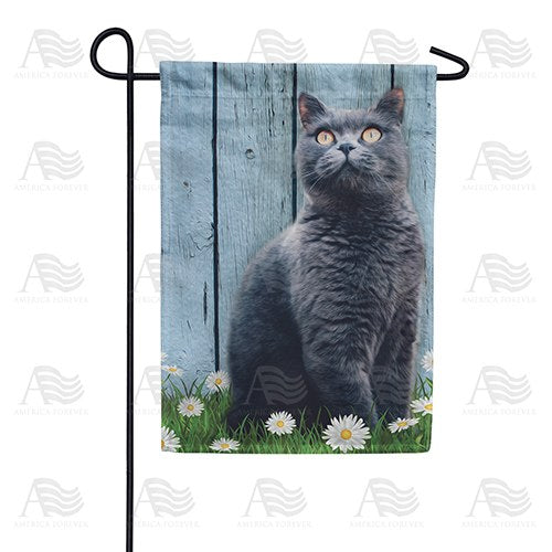 Gray Cat Double Sided Garden Flag