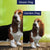 All Ears Basset Hound Double Sided Flags Set (2 Pieces)