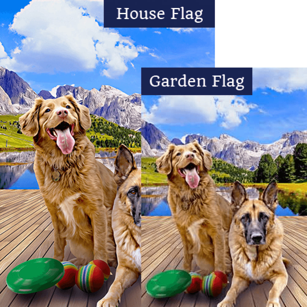 "Throw it Again!" Double Sided Flags Set (2 Pieces)