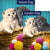 Close Knit Kittens Double Sided Flags Set (2 Pieces)