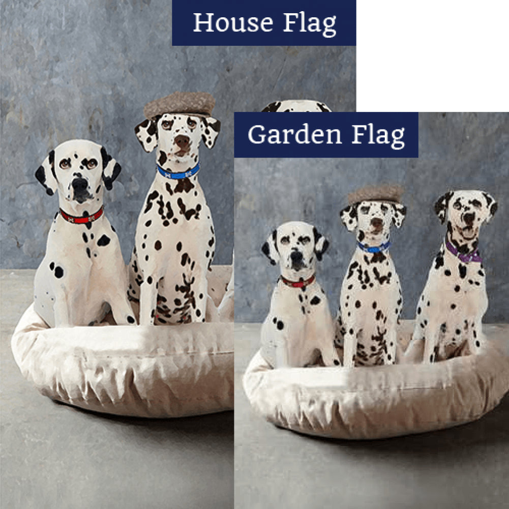 Dapper Dalmatian Trio Double Sided Flags Set (2 Pieces)