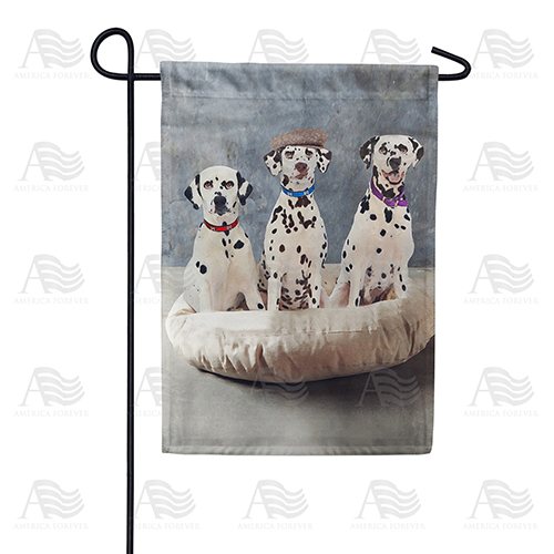 Dapper Dalmatian Trio Double Sided Garden Flag