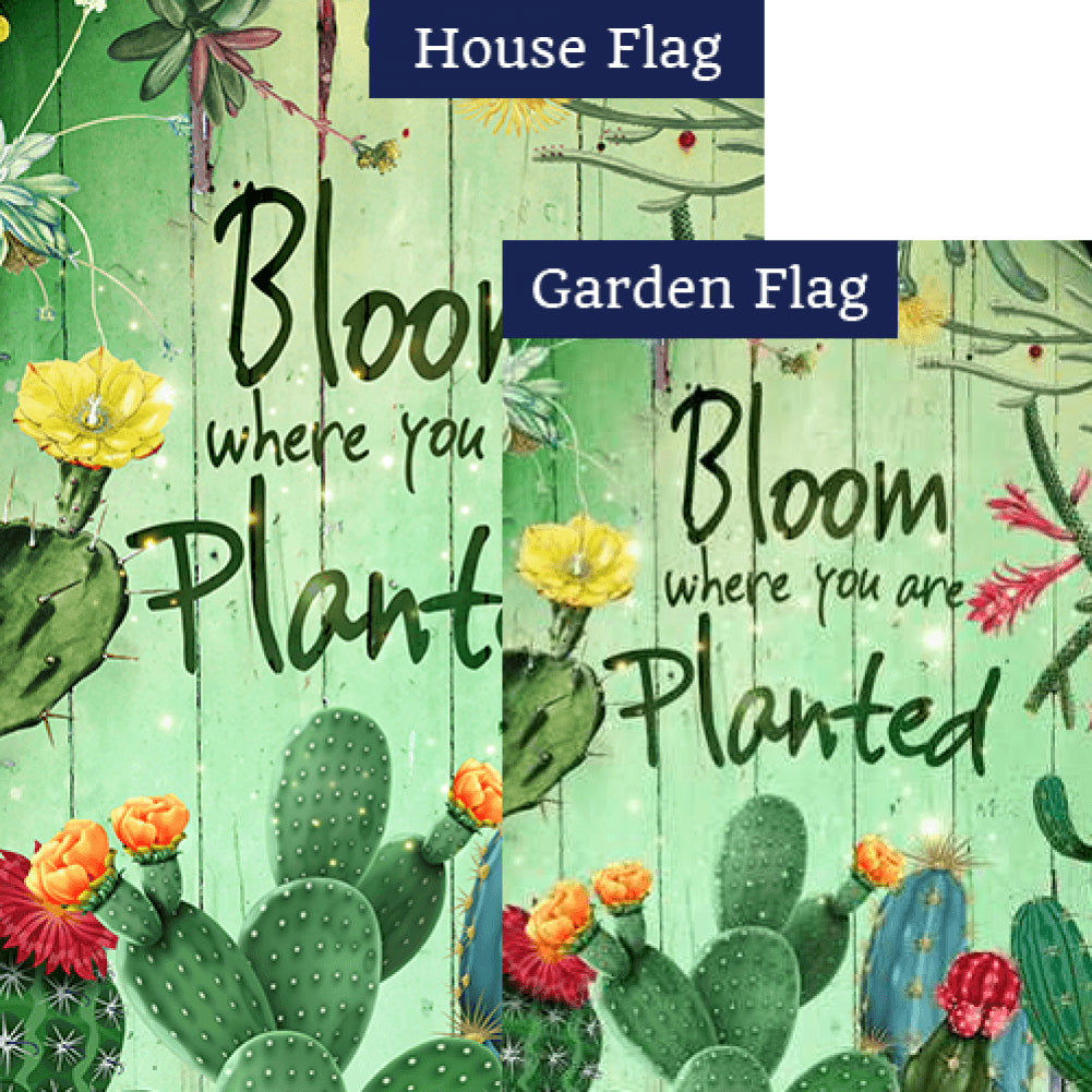 Cactus Bloom Where You Are Planted Flags Set (2 Pieces)