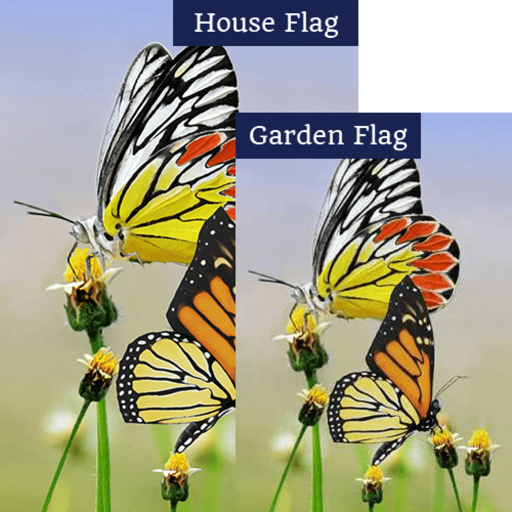 Painted Wings Double Sided Flags Set (2 Pieces)