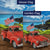 American Truck Flags Set (2 Pieces)