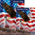 Patriotic Bald Eagle Flags Set (2 Pieces)