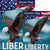Patriotic Welcome Liberty Flags Set (2 Pieces)