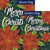 Snowy Poinsettias Double Sided Flags Set (2 Pieces)