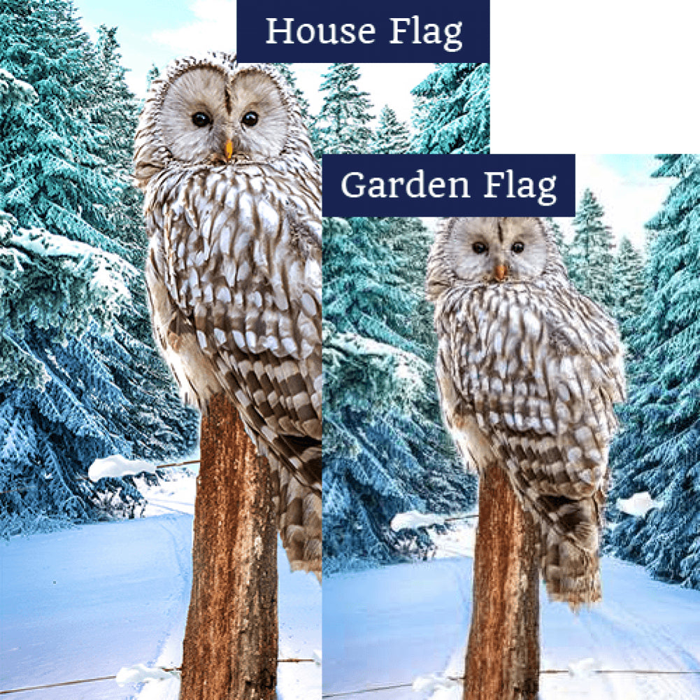 Owl's Winter Perch Flags Set (2 Pieces)