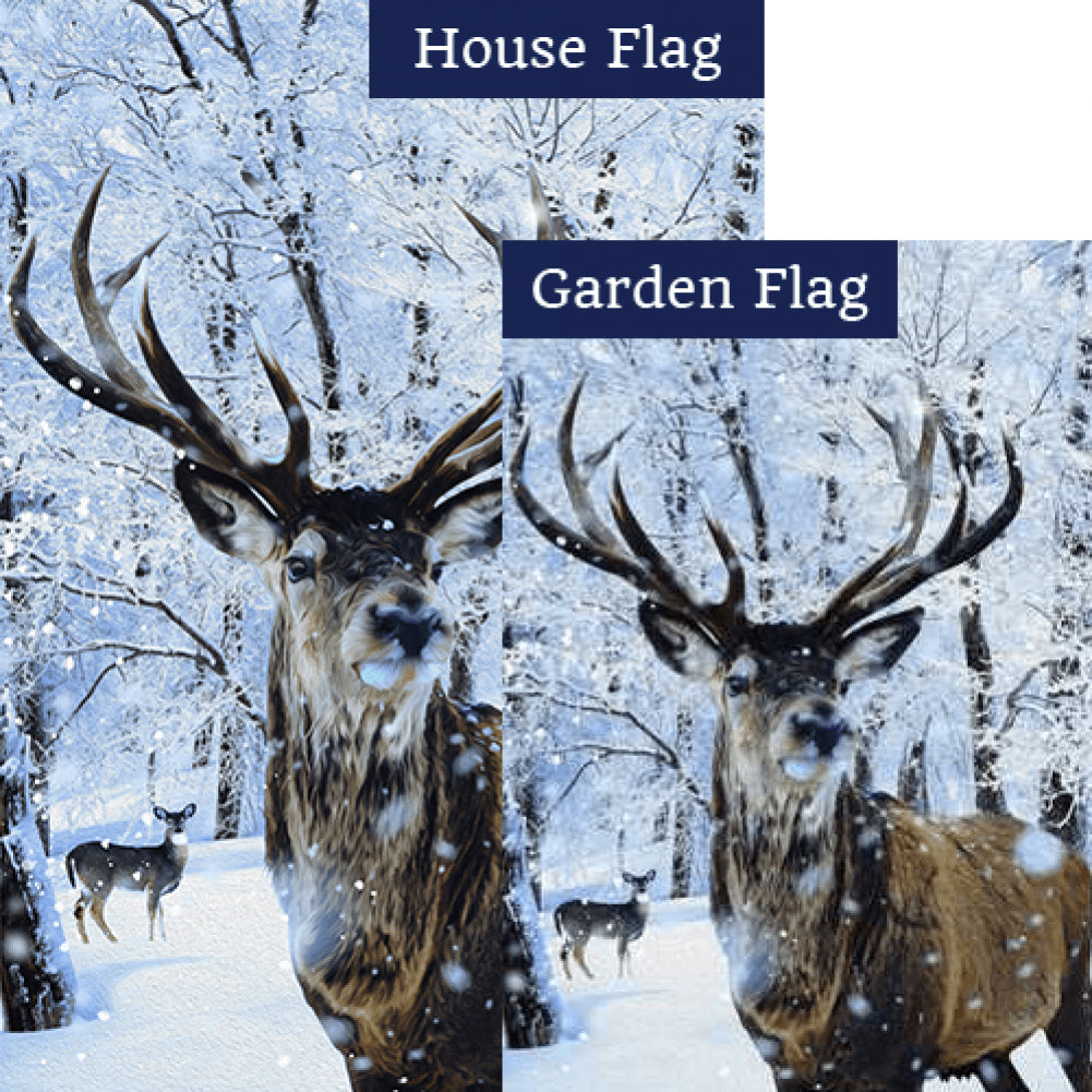 Ten Pointer Flags Set (2 Pieces)