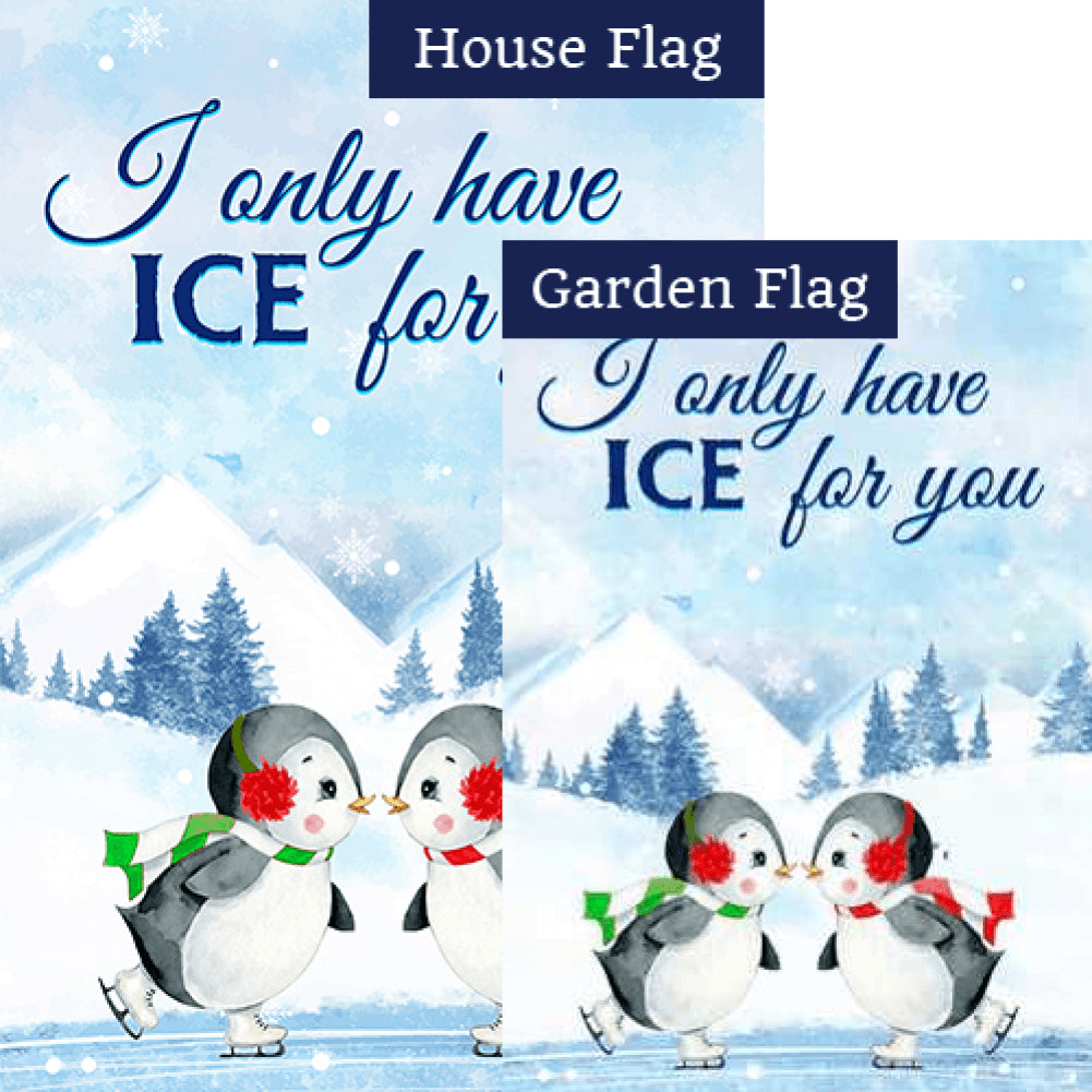 Cute Penguin Skaters Flags Set (2 Pieces)