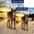 The Winter Buck Stops Here Double Sided Flags Set (2 Pieces)