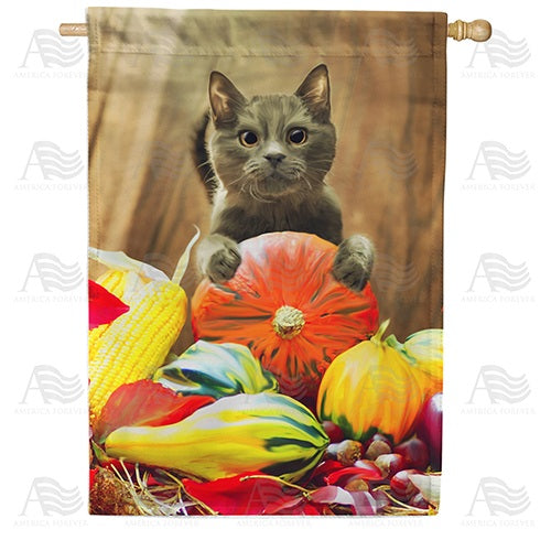 Cat With Pumpkin Double Sided House Flag