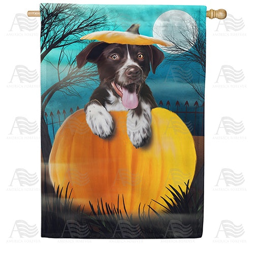 Pup In Pumpkin Double Sided House Flag