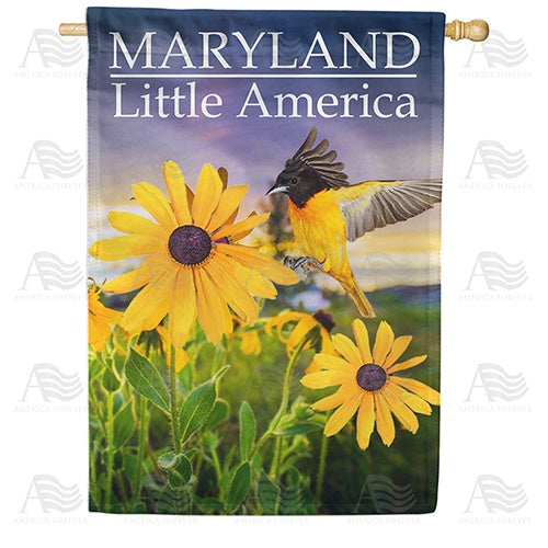 Little America Double Sided House Flag