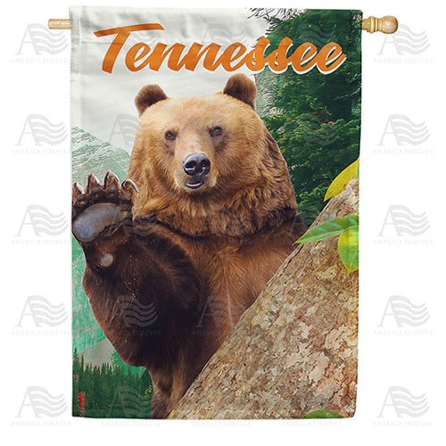 Tennessee-Hello From Great Smoky Mountains Double Sided House Flag