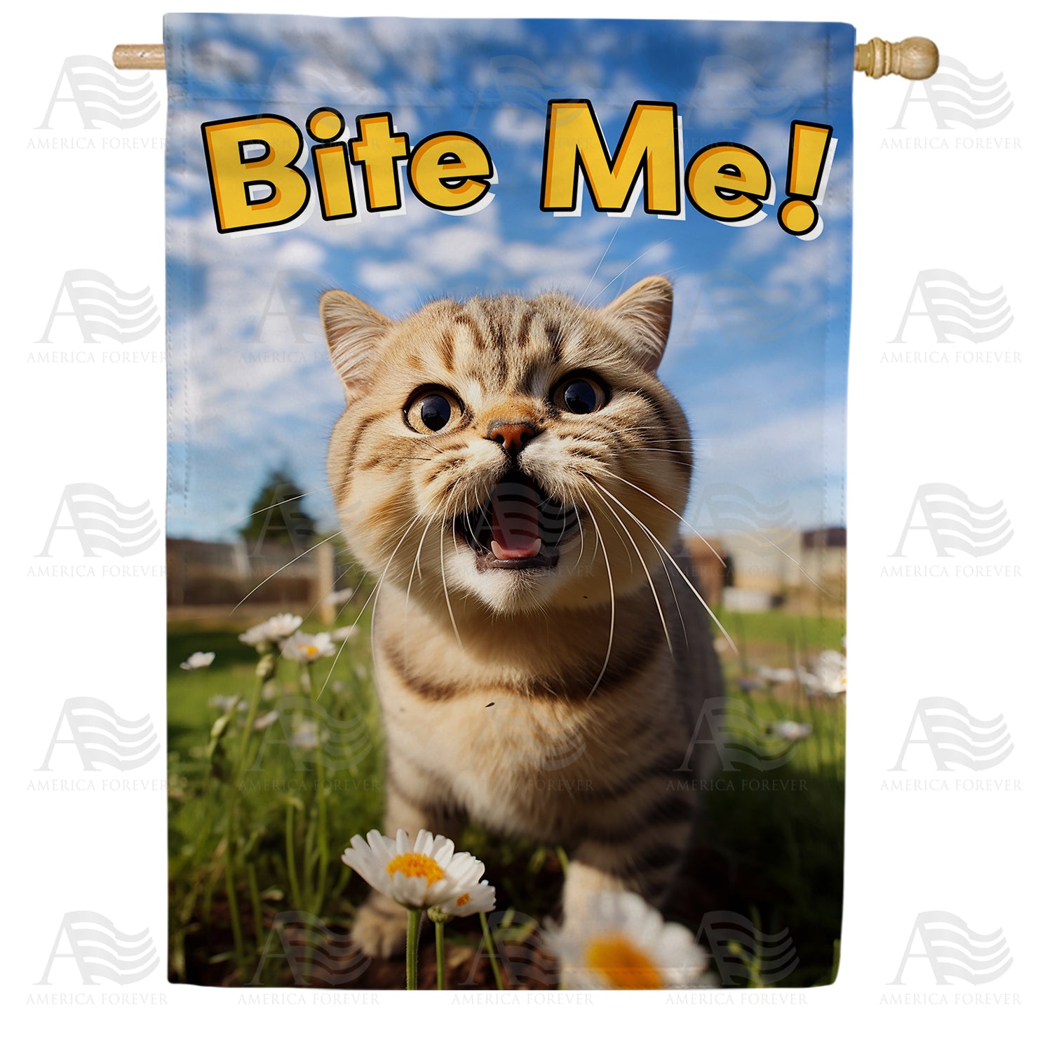 Hear Me Roar! Double Sided House Flag