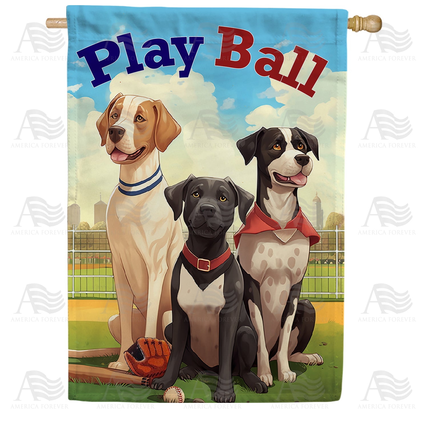 Ready To Play Fetch Double Sided House Flag