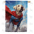 Super Dog Double Sided House Flag