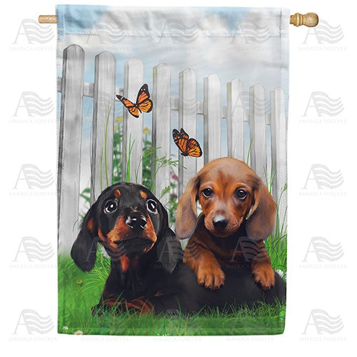Darling Dachshund Pups Double Sided House Flag