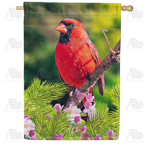 Cardinal In Sunshine Double Sided House Flag