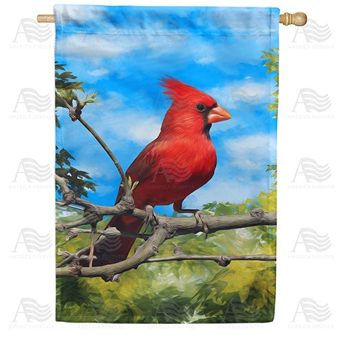 Handsome Mr. Cardinal Double Sided House Flag