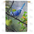 Blue Jay In Apple Tree House Flag