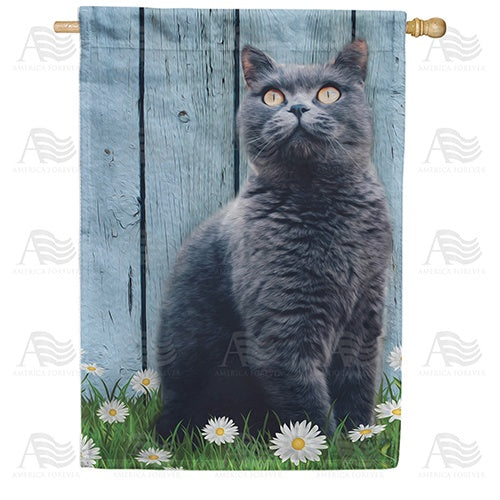 Gray Cat Double Sided House Flag