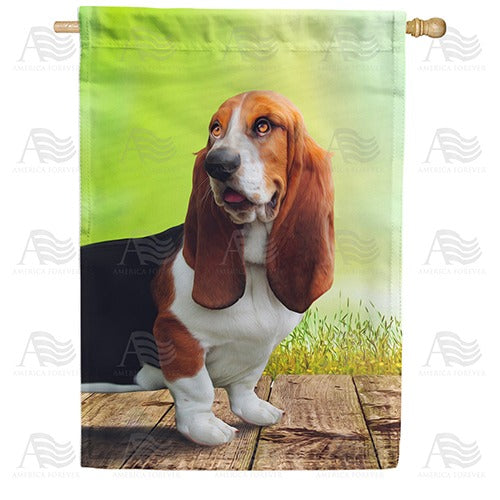 All Ears Basset Hound Double Sided House Flag