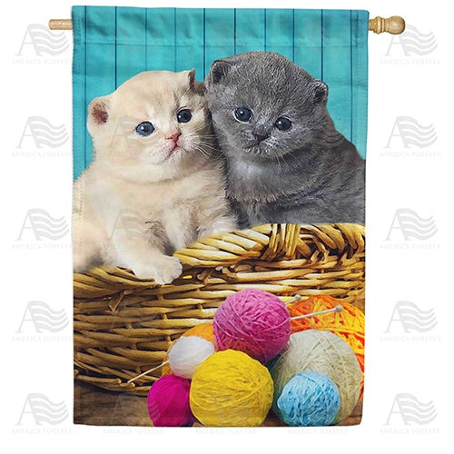 Close Knit Kittens Double Sided House Flag