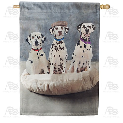 Dapper Dalmatian Trio Double Sided House Flag