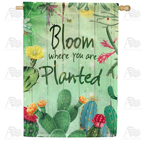Cactus Bloom Where You Are Planted Double Sided House Flag