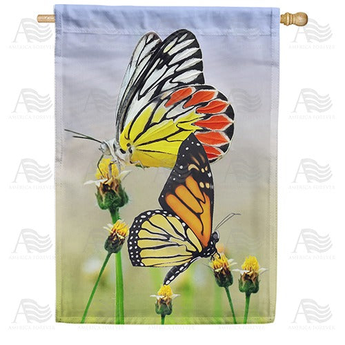 Painted Wings Double Sided House Flag