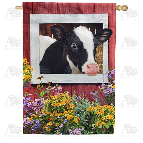 Holstein Hello Double Sided House Flag