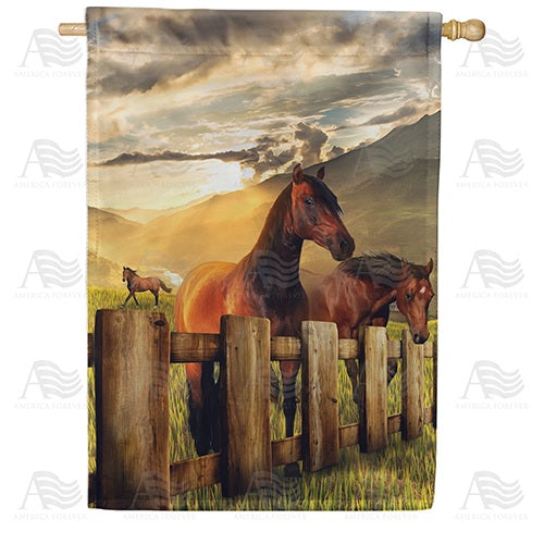 After The Storm Double Sided House Flag