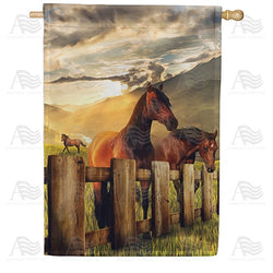 After The Storm Double Sided House Flag